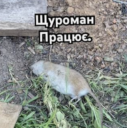 Застосування у сараях та загонах